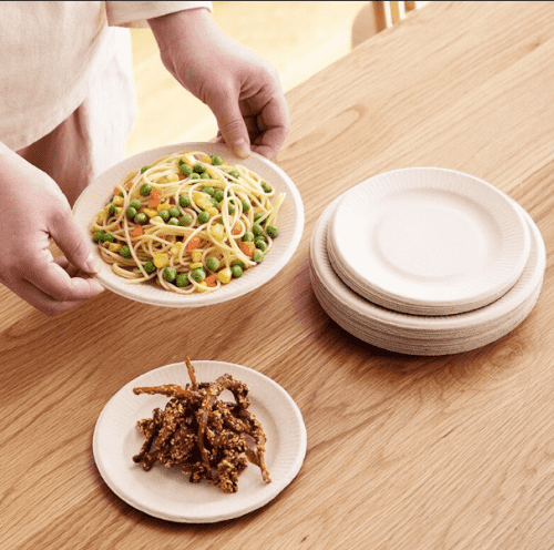 Приспособлива за еднократна употреба Партија добавувач на хартиена чинија дрвена маса 9-инчна 10-инчна чинија за вечера од бела хартија (14)