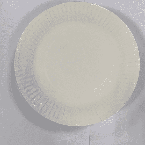 Приспособлива за еднократна употреба Партија добавувач на хартиена чинија дрвена маса 9-инчна 10-инчна чинија за вечера од бела хартија (7)